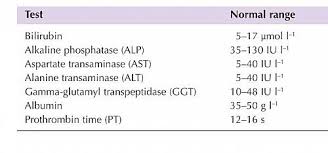 Pin On Liver Function Test Explained