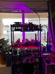 See more ideas about plant lighting, winter plants, grow lights. Grow Lights Worth It I Got This 30 4 Arm Grow Light Lamp Off Amazon For My Succulents To Survive A New Mexican Winter In Your Experience Do These Work Or Not Succulents