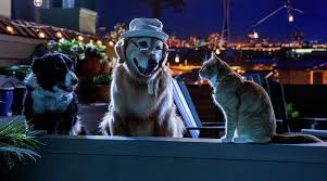 Modmove Watch The Trailer For Cats Dogs 3 Paws Unite