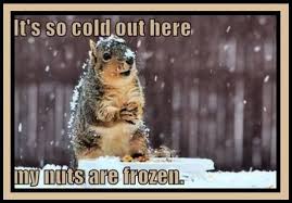 Funny Sayings About Cold Get Funny Quote Says In an online poll we came last, we actually creativity is not like the weather: funny sayings about cold get funny