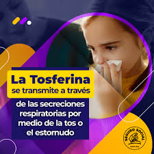 Caja Costarricense de Seguro Social