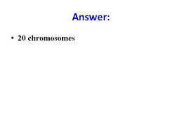 A cytoplasm b nuclear membrane c spindles d nucleolus. Cell Cycle Division Biology I Cell Division All