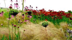 These three plants fill in promptly and really minimize weeding through the summer. How Landscape Designer Piet Oudolf Captures Nature S Emotion Youtube