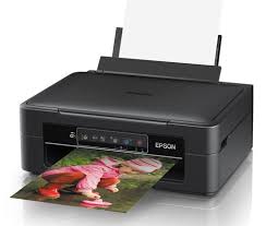 Link to download driver epson xp 245: Epson Expression Home Xp 245 Printer Driver Download