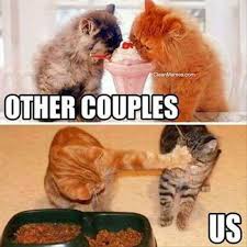 33 funny grumpy cat meme that make you laugh wishmeme. Cat Memes Page 7 Clean Memes