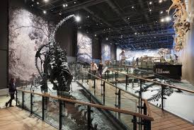 Gallery Of Natural History Museum Of Utah Ennead Architects 16 Nature Museum Contemporary Museum Science Museum