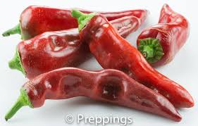 Bird S Eye Chili Substitute Sinise Chile Pepper Preppings Stuffed Peppers Stuffed Sweet Peppers Chile Pepper