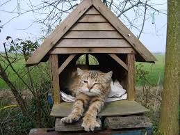 Tips Voor Het Ophangen Van Vogelhuisjes En Nestkasten Tuin En Balkon