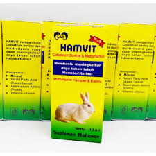 Progam hamil dg otak kellinci. Harga Perawatan Kesehatan Suplemen Vitamin Terbaik Juli 2021 Shopee Indonesia