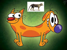 Image result for cat looks like a dog