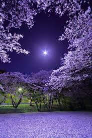 Too Beautiful To Be Real Beautiful Nature Wallpaper Beautiful Landscape Wallpaper Beautiful Landscapes
