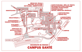 Quelle est la pharmacie de garde ouverte aujourd'hui à rennes ? Copyroom Plan Du Campus Sante Medecine Ehesp Rennes 1