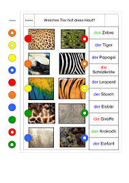 Paket Klammerkarten Und Logico Lesen Zoo Wildtiere Unterrichtsmaterial In Den Fachern Deutsch Sachunterricht In 2020 Wilde Tiere Tiere Zootiere