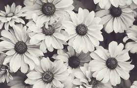 Fondos De Pantalla Hipster Buscar Con Google Black And White Flowers Facebook Cover Photos Vintage White Flower Crown