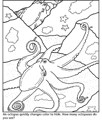 We did not find results for: Octopus Coloring Page Coloring Home