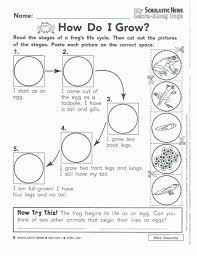 Plant Worksheets For Kindergarten Plant Life Cycle Worksheet Second Grade Science Science Life Cycles