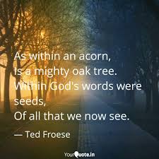 Quotes the oak has long been an enduring and mighty tree. As Within An Acorn Is A Quotes Writings By Ted Froese Yourquote