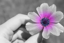 Black And White With Color Photoshop Pin By Kristin Summers Flure On A Touch Of Colour Color Photoshop Black And White Color Splash