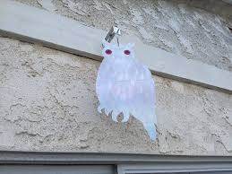 Bird Deterrents For Gardens Birdbusters Holographic Owl Bird Deterrent Scares Birds Away From Buildings Patios Balconies And Gardens Click Image To Revi Bird Deterrents Owl Bird Birds