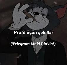 Profil Şəkilləri Telegram Kanalında Tapıla Bilər | TikTok