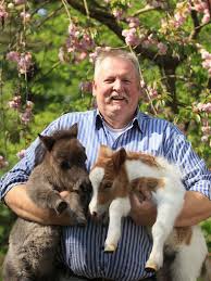 Gala De Stars Fashion Beauty Und Die Besten Promi News Gala De Tiere Promi News Pferdefotos