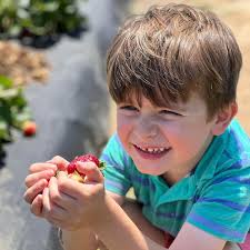 RV kitchen area stays colder than rest of unit