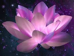 Maybe you would like to learn more about one of these? Galaxy Lotus By Susha Barkova Via Behance Lotus Flower Wallpaper Lotus Flower Pictures Lotus Flower Art
