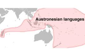 Image result for Austrosynotis