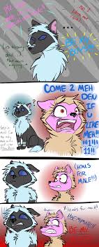 This Is Why I Don T Go Into The Pillow Room I M A Girl And Because Of The Way I Dress My Wolf They Think I M Animal Jam Memes Animal Jam