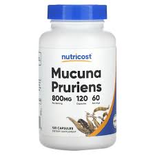 Image result for Mucuna pruriens