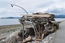 Check spelling or type a new query. Homemade Driftwood Hut Deemed High Risk Vancouver Is Awesome