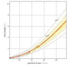 Intrauterine Growth Restriction Clean Normal Fetal Growth Chart