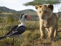 Dallas Zoo Cub Was The Model For Baby Simba In The Lion King Remake