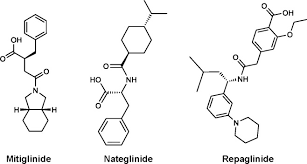Image result for Meglitinide