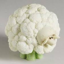 Cauliflower Sheep Fruit Animals Vegetable Animals Cauliflower