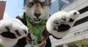 Anthrocon turns 20 in Pittsburgh, Fursuit Parade open to public