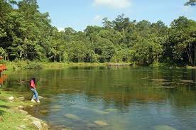 Taman botani negara shah alam; Taman Botani Negara Shah Alam Neighbourhood Guide Iproperty Com My
