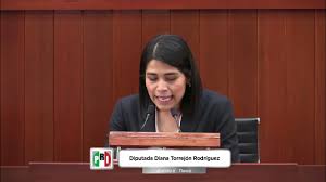Dip. Diana Torrejón (PRI), sobre la desincorporación diversos muebles -  YouTube