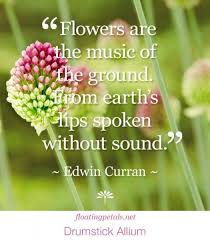 26 Flower Quotes Flower Quotes Life Flower Quotes Beautiful Flower Quotes