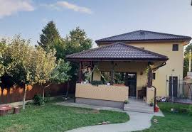 Vand urgent vila de vânzare voluntari cupiscina cartier rezident terra. Vila De Vanzare Oras Voluntari 7 Camere Id 59530 Bliss Imobiliare