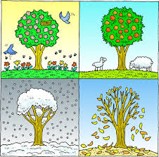 Easy to follow directions, using right brain drawing techniques, showing how to draw the 4 seasons. Art Archives Page 2 Of 7 St Patrick Catholic Academy