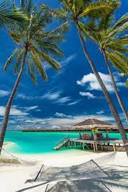 Hammock Between Palm Trees On A Tropical Beach Maldives Tropical Beach Palm Trees Maldives