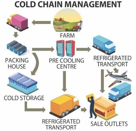 Quy trình xuất khẩu thủy sản đông lạnh sang Hàn Quốc an toàn