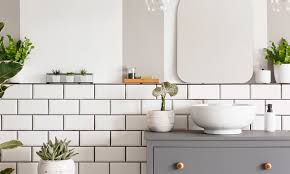 They love low light and high humidity, the exact conditions of most bathrooms. How To Brighten A Bathroom With No Windows By Mira Showers