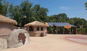 Akron Zoo Pride Of Africa Akron Zoo Zoo Akron