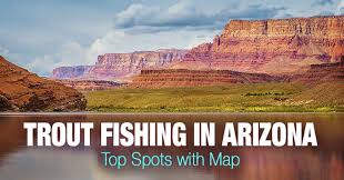 Considered some of the best trout fishing opportunities in the world, big lake is home to. Trout Fishing In Arizona Top Spots With Map Outdoors Cult