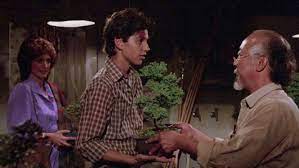 Miyagi trained daniel to be the best around, and daniel defeated cobra kai's top student in the final round of. As Roma English Ø¹Ù„Ù‰ ØªÙˆÙŠØªØ± The80scalledand Mr Miyagi Wants His Tree Back Https T Co Pfukyfijmk ØªÙˆÙŠØªØ±