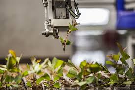 Spinnova represents a disruptive, ecological innovation that turns wood or waste streams into textile fibre simply, without harmful chemicals. Eur 50 Million Factory For Spinnova Sustainable Fibre