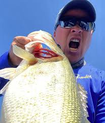 Who is Jeff Sprague? Flip like a boss! Neko right, When Clunn's cold