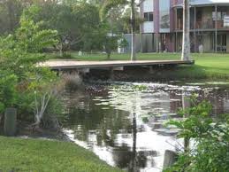 Likibu provides you with 172. Help With Our Home And Organic Vegetable Patch In Hervey Bay Close To Fraser Island Australia